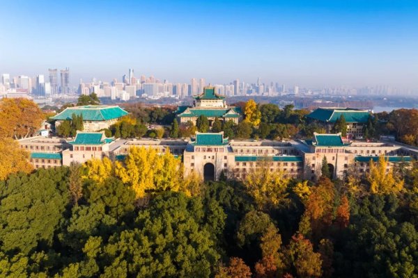 按天配资利息 武汉大学校长张平文： 正在处理“学生性骚扰指控被驳回”事件